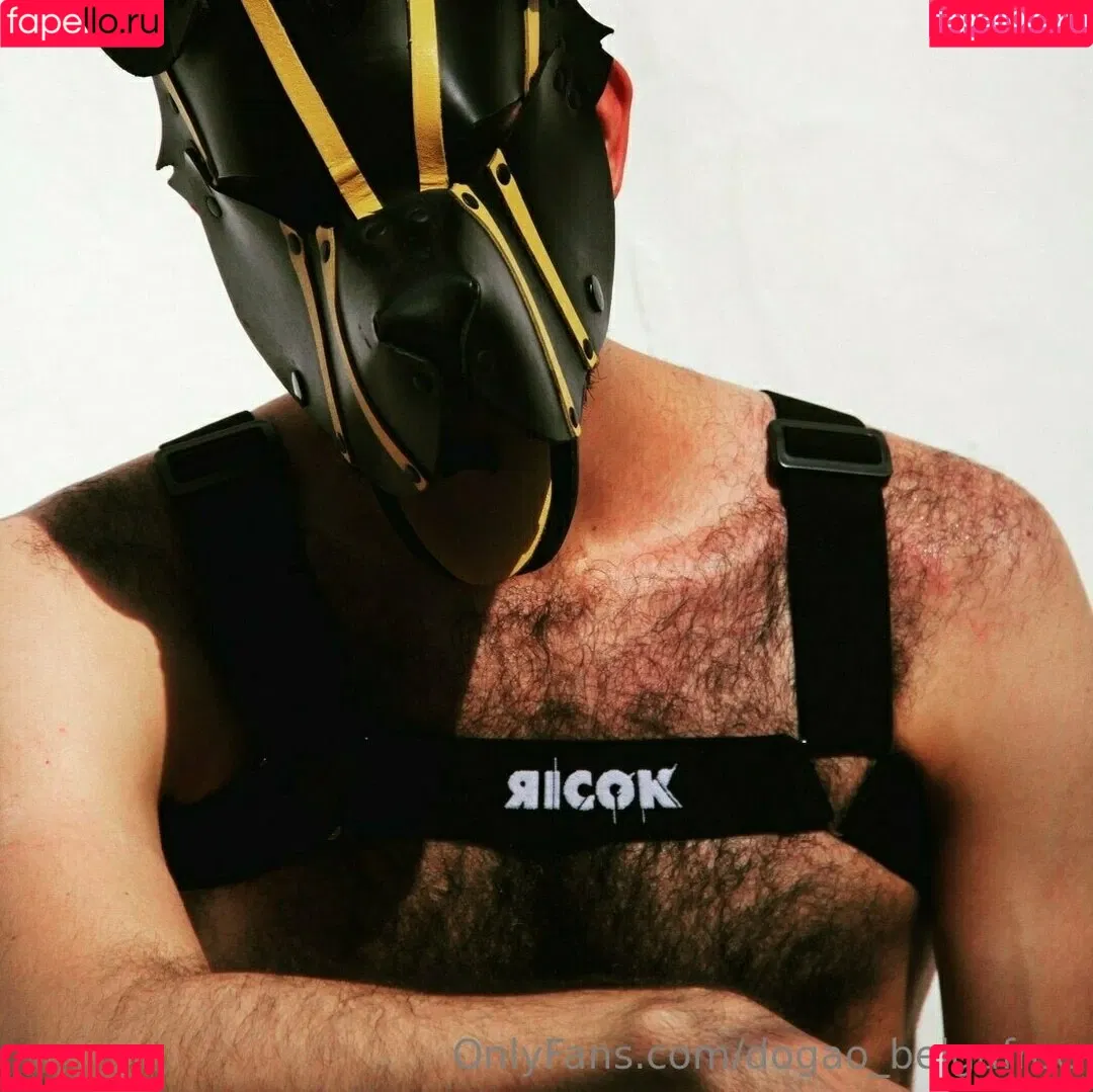 dogao_belgafree Onlyfans Photo Gallery 