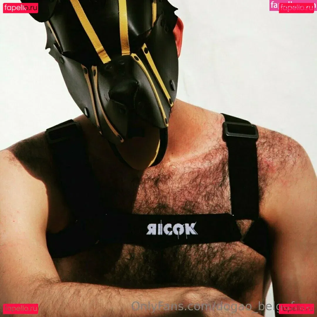 dogao_belgafree Onlyfans Photo Gallery 