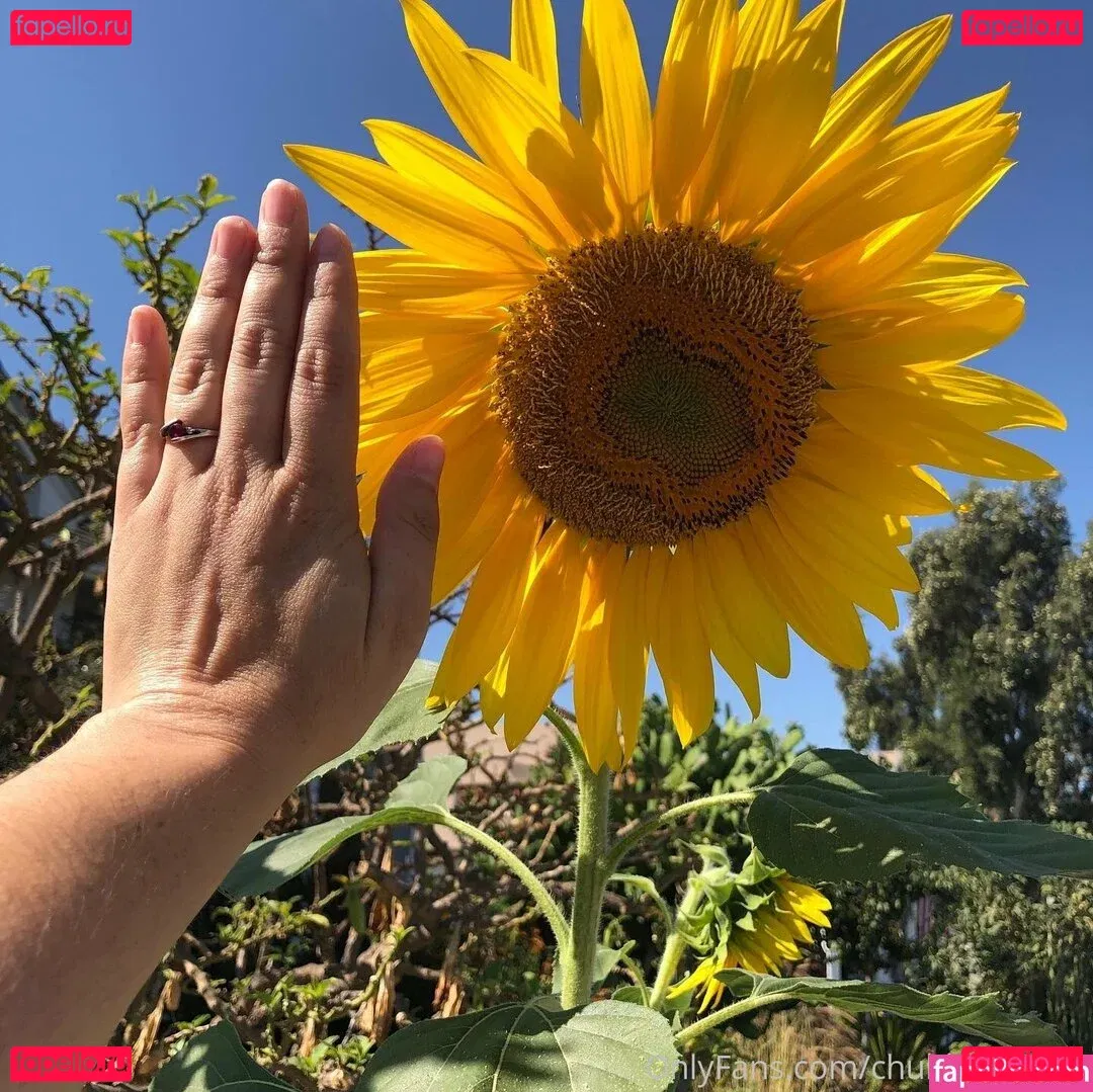 chubbychunky Onlyfans Photo Gallery 