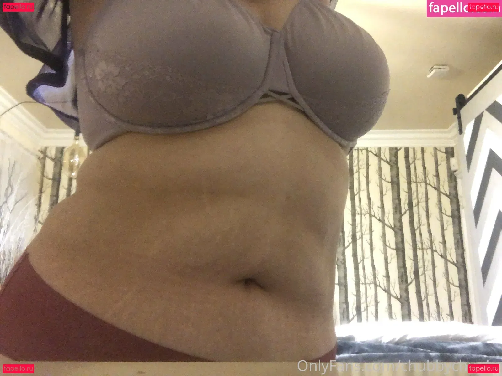 chubbychunky Onlyfans Photo Gallery 