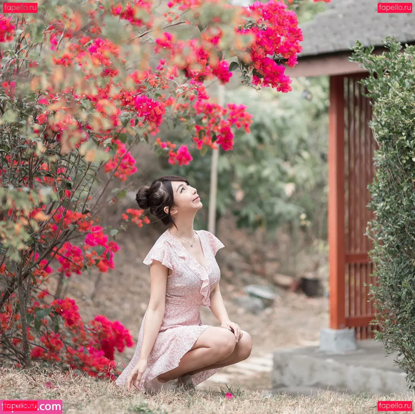 Zoeso Onlyfans Photo Gallery 