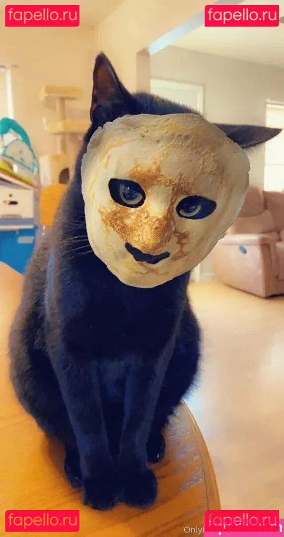 Oheekolts Onlyfans Photo Gallery 