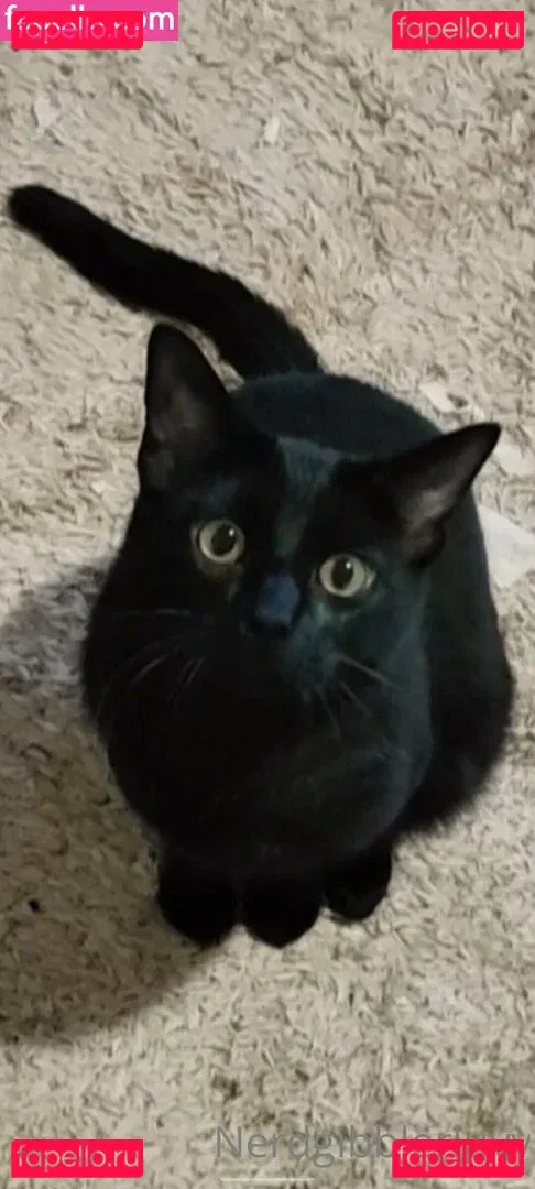 nerdgibblerluvv Onlyfans Photo Gallery 