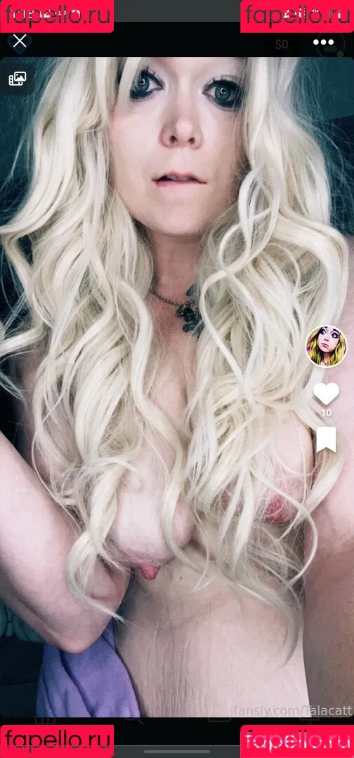 Talacatt Onlyfans Photo Gallery 
