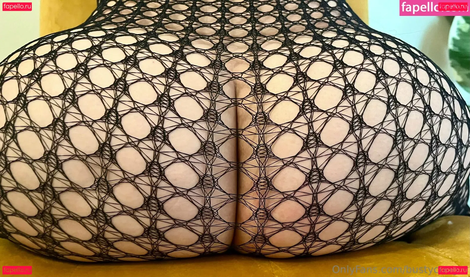 bustycougar Onlyfans Photo Gallery 