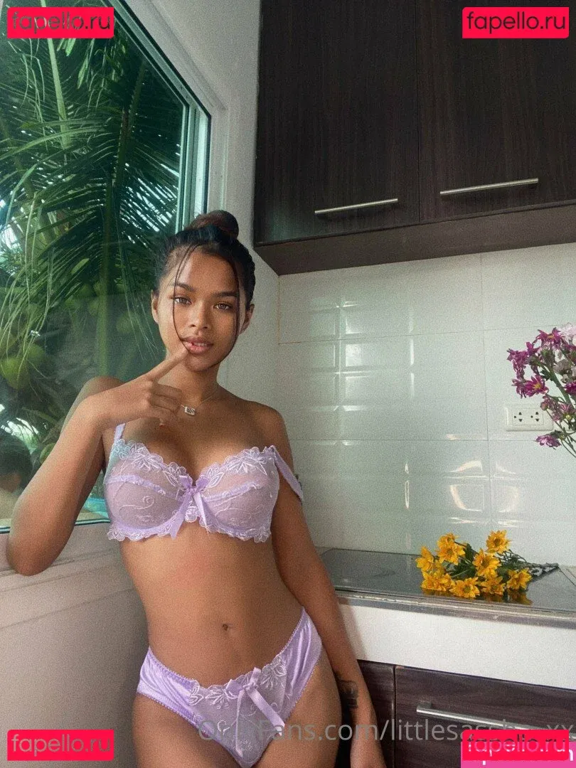 LittleSassha Onlyfans Photo Gallery 