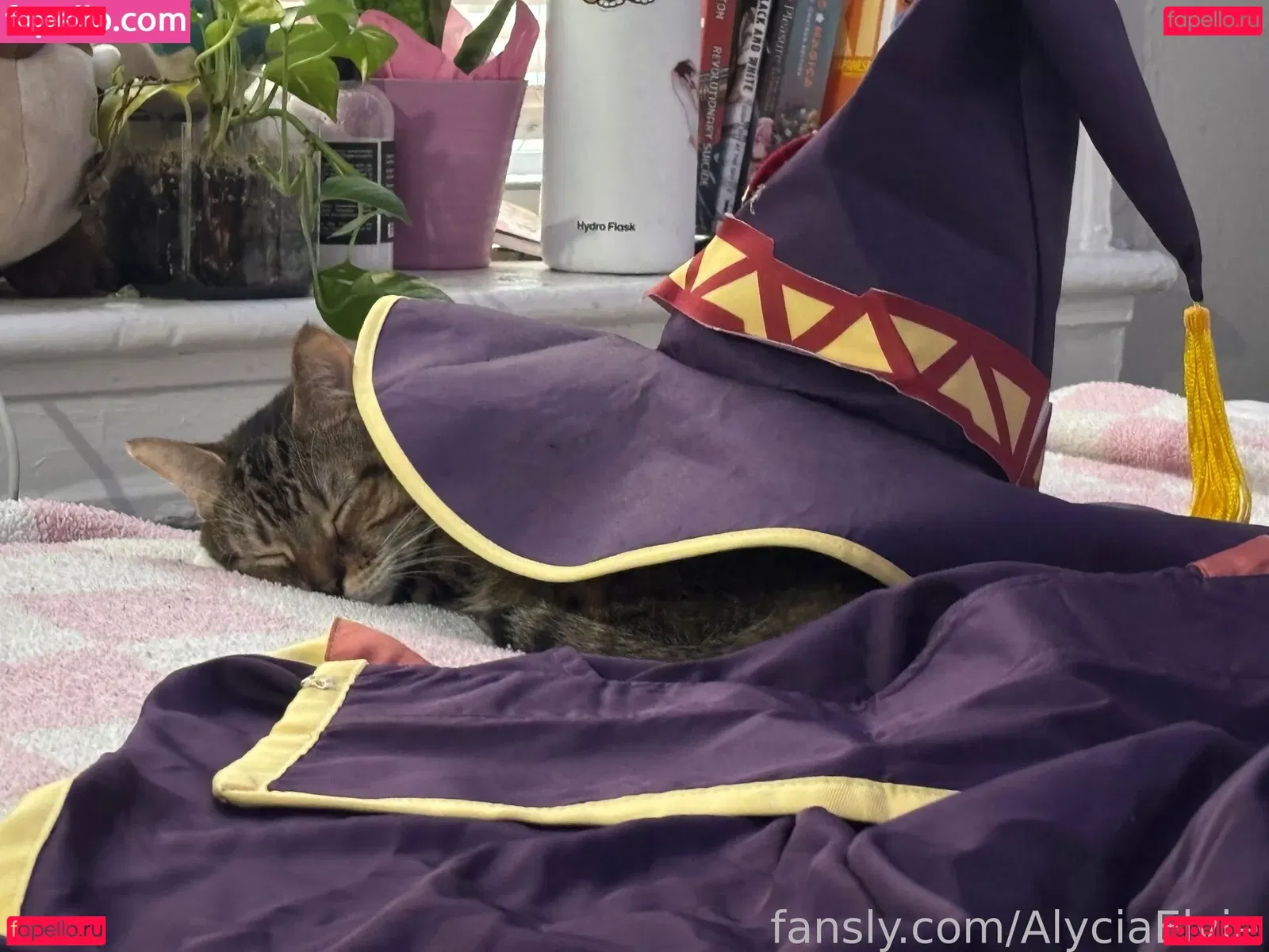 alyciaelvie Onlyfans Photo Gallery 