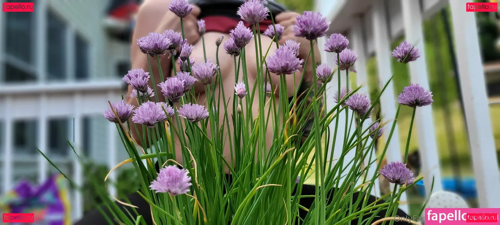 darkreifree Onlyfans Photo Gallery 