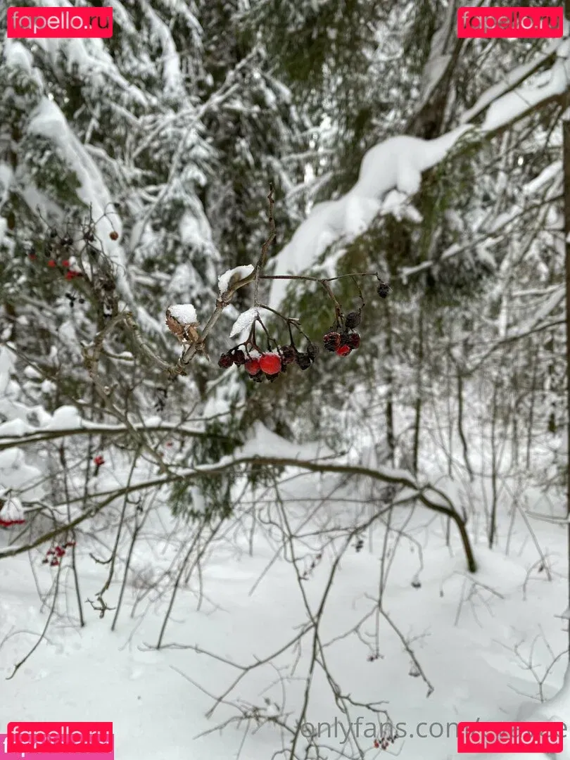 evavee Onlyfans Photo Gallery 