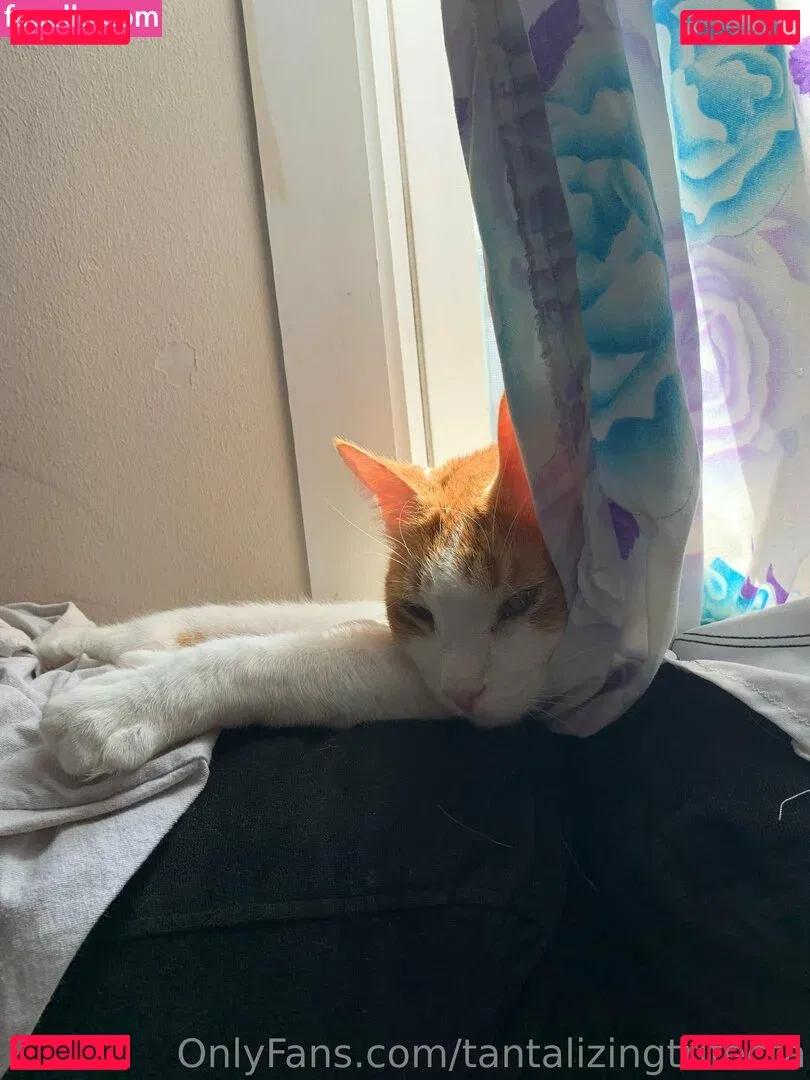 tantalizingtrifecta Onlyfans Photo Gallery 