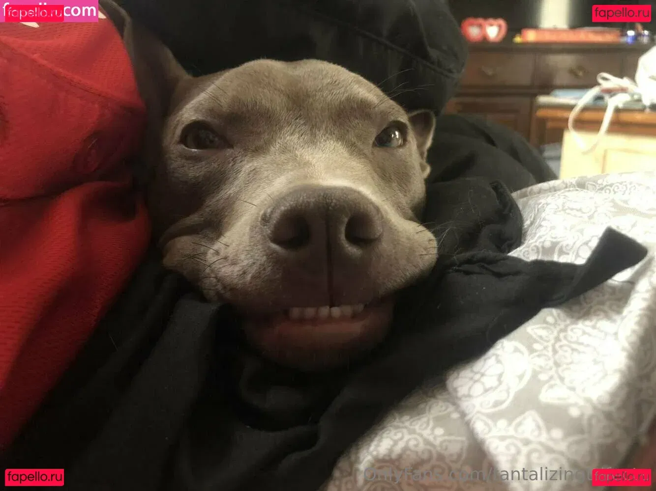 tantalizingtrifecta Onlyfans Photo Gallery 