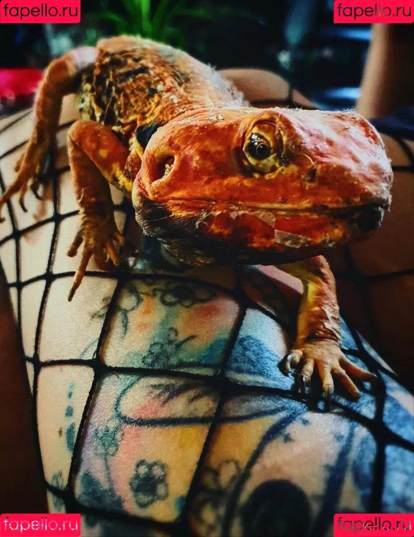 artnvenom Onlyfans Photo Gallery 
