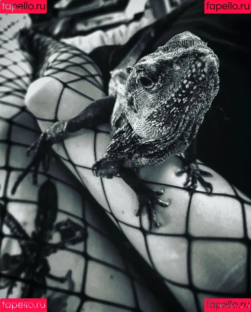 artnvenom Onlyfans Photo Gallery 