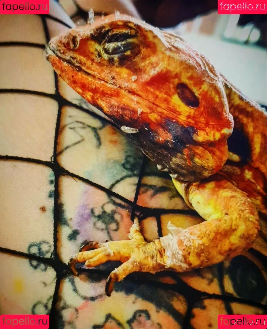 artnvenom Onlyfans Photo Gallery 