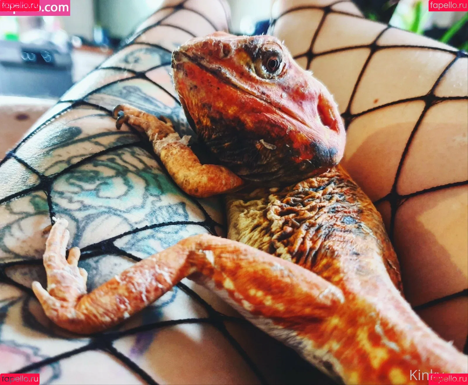 artnvenom Onlyfans Photo Gallery 