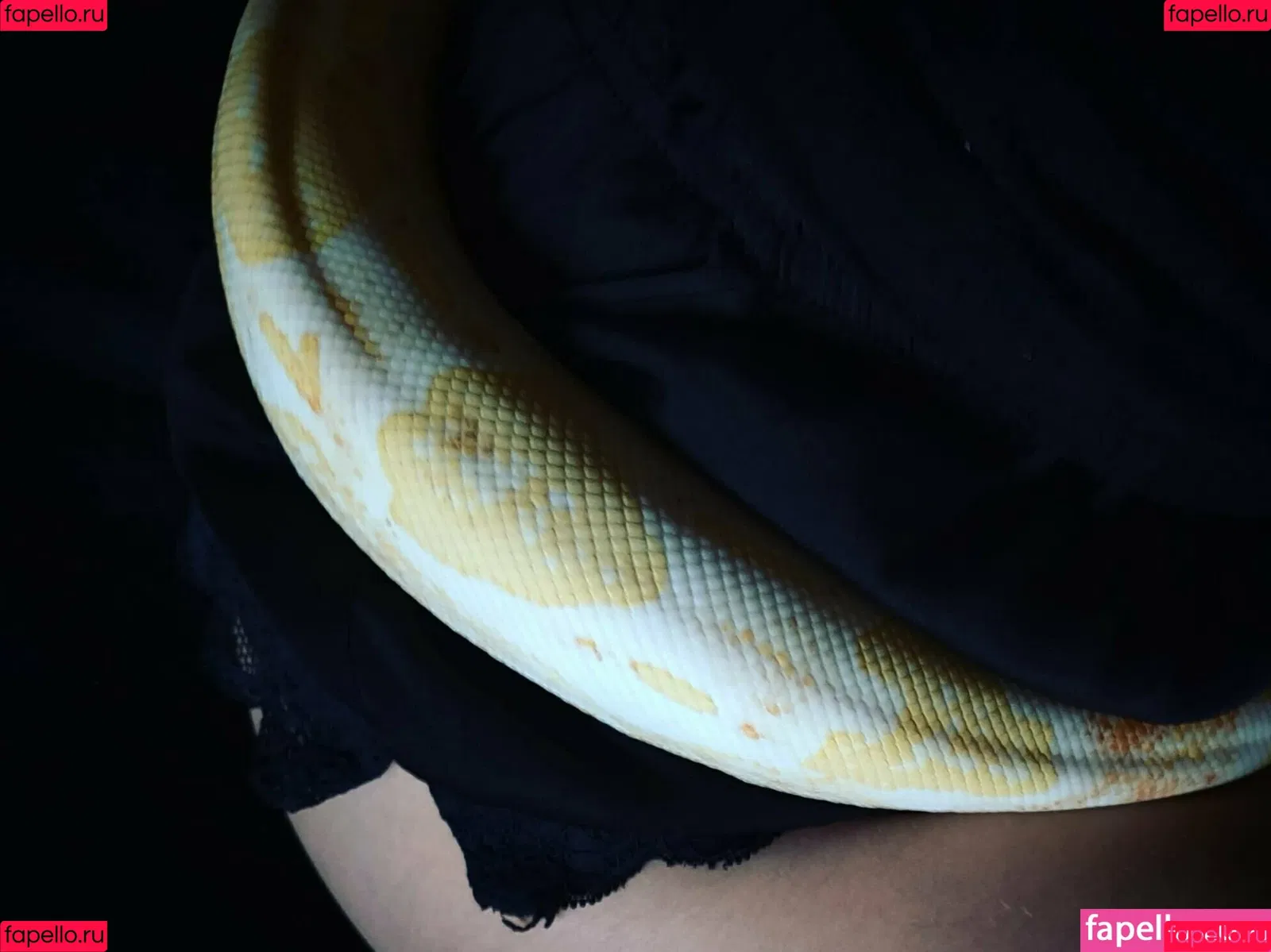 artnvenom Onlyfans Photo Gallery 
