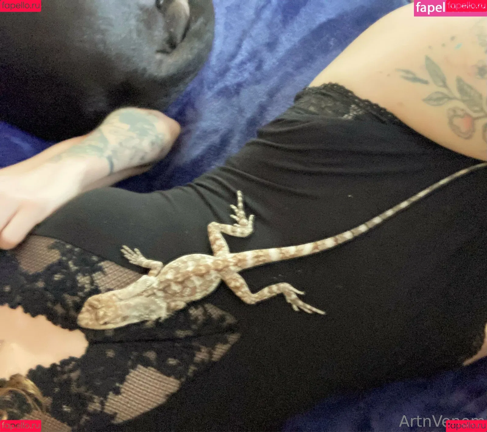 artnvenom Onlyfans Photo Gallery 