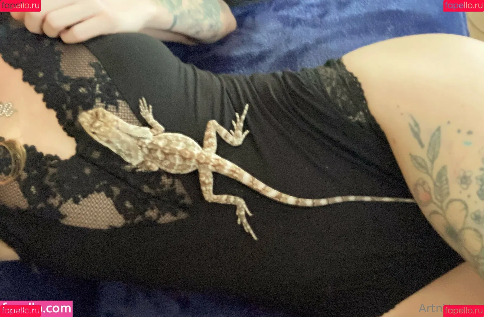 artnvenom Onlyfans Photo Gallery 