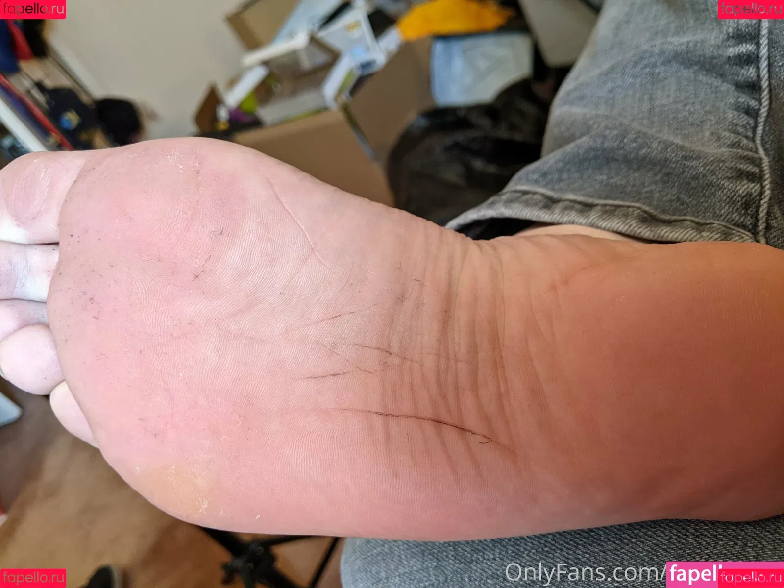 hairhound Onlyfans Photo Gallery 