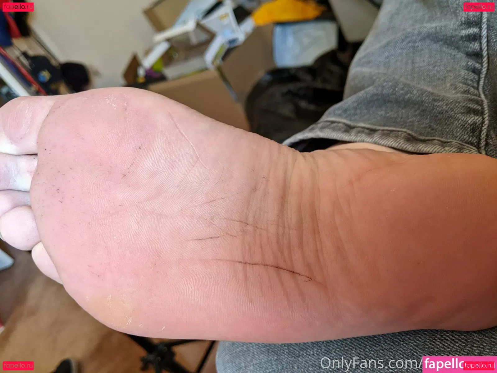 hairhound Onlyfans Photo Gallery 