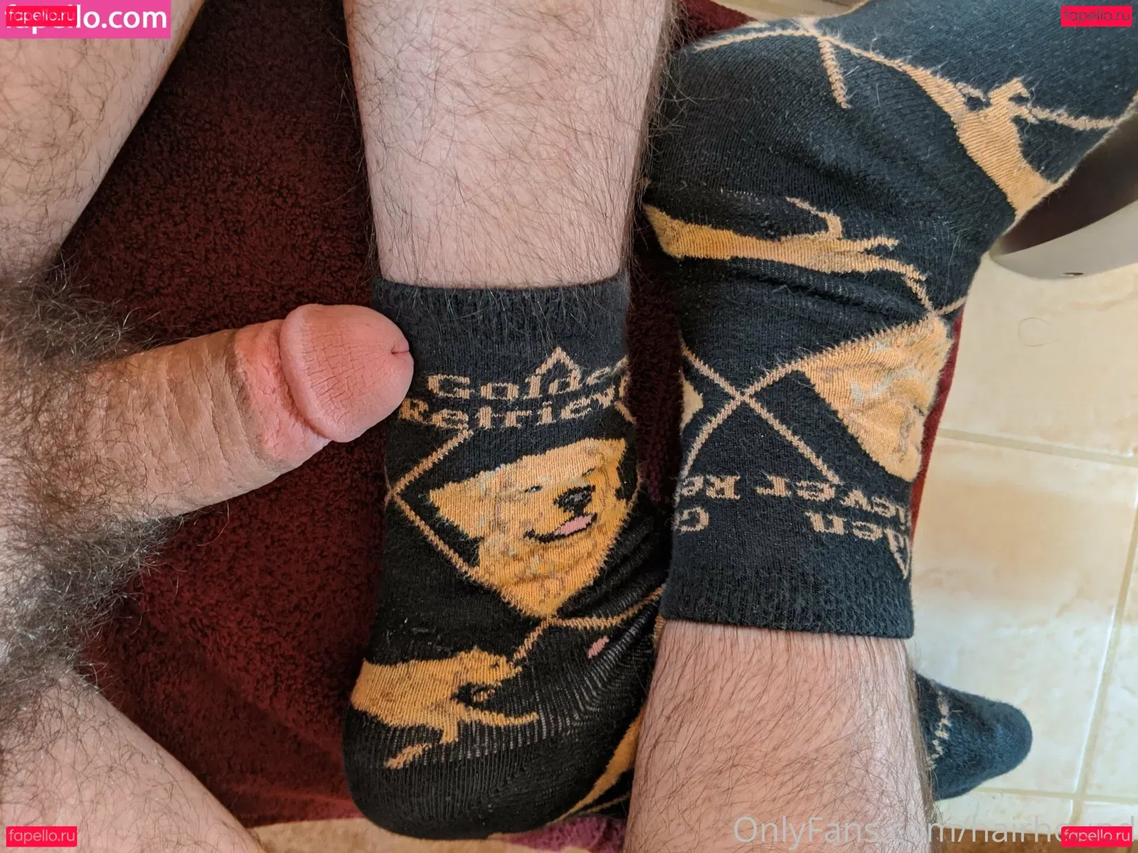 hairhound Onlyfans Photo Gallery 