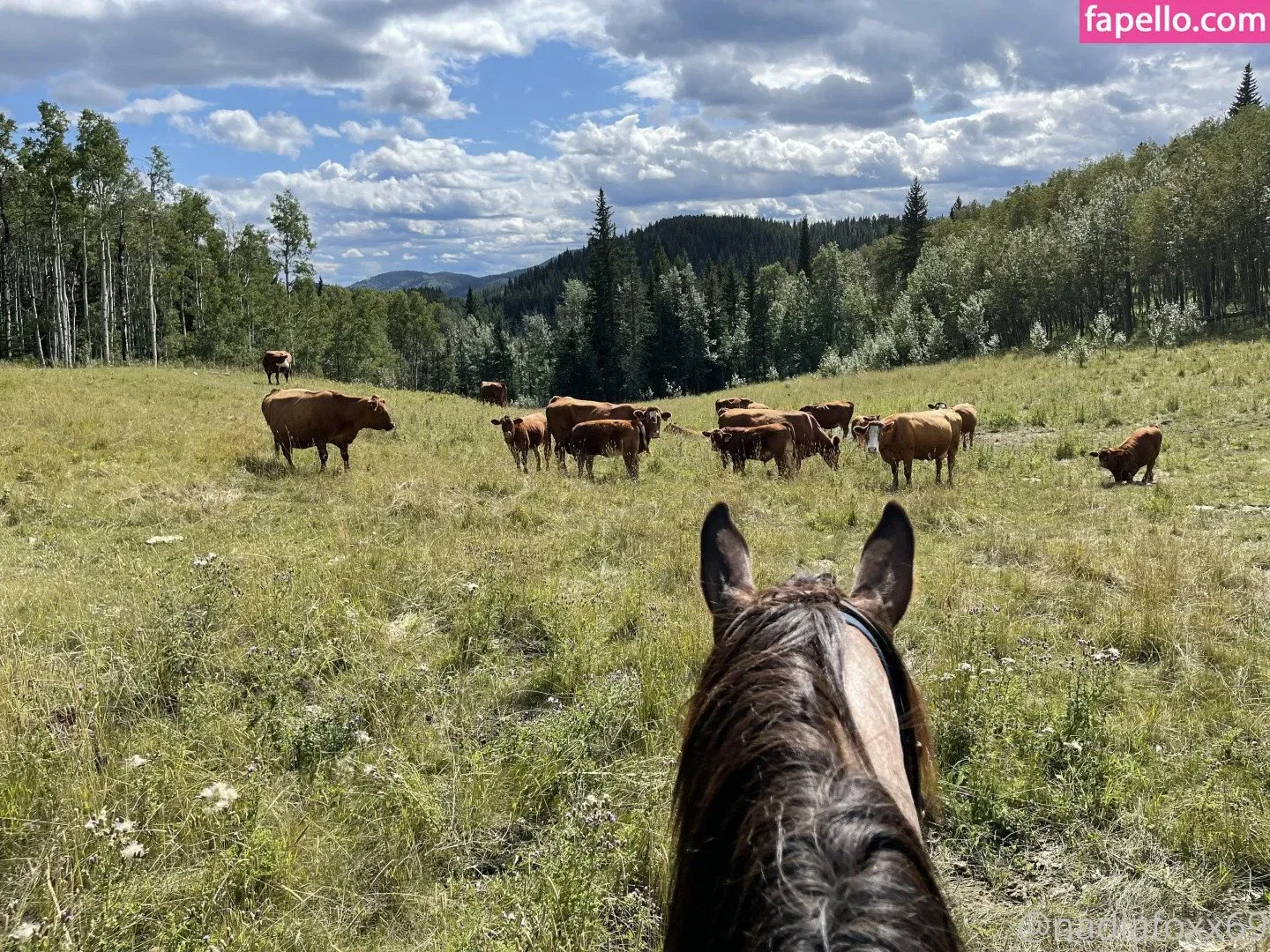 Nadia Foxx Onlyfans Photo Gallery 