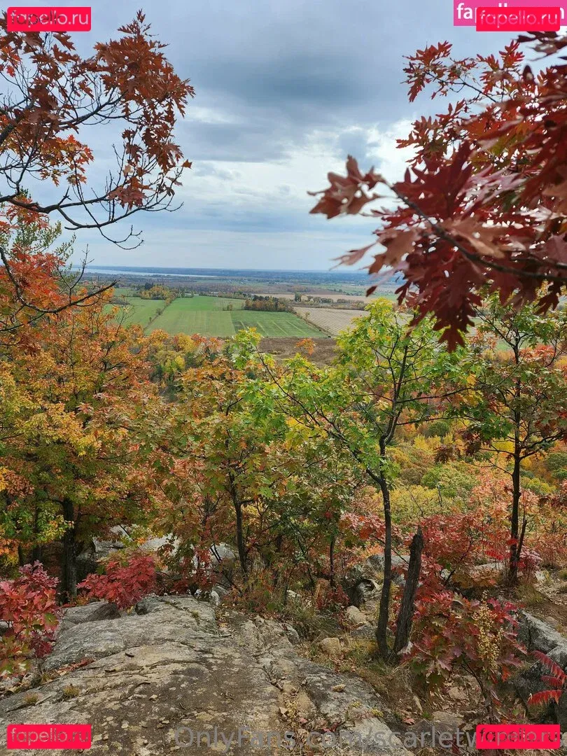 scarletwinters Onlyfans Photo Gallery 