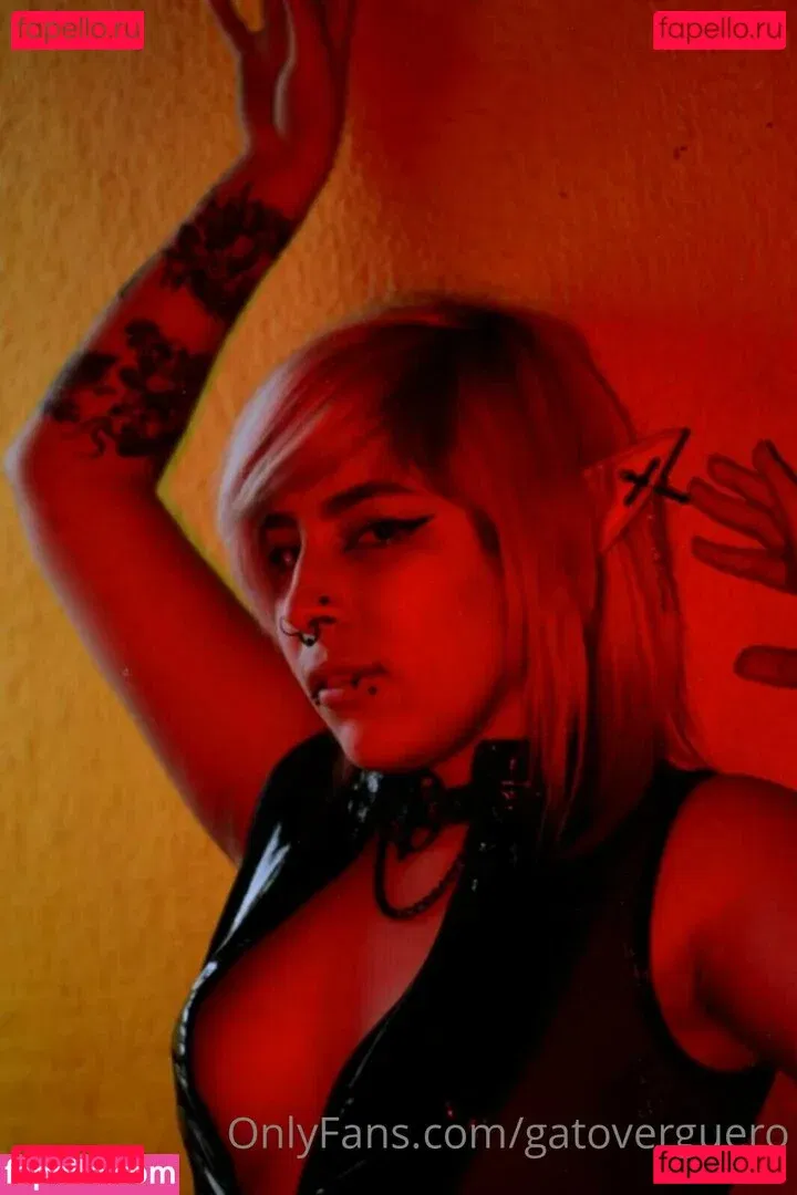 gatoverguero Onlyfans Photo Gallery 