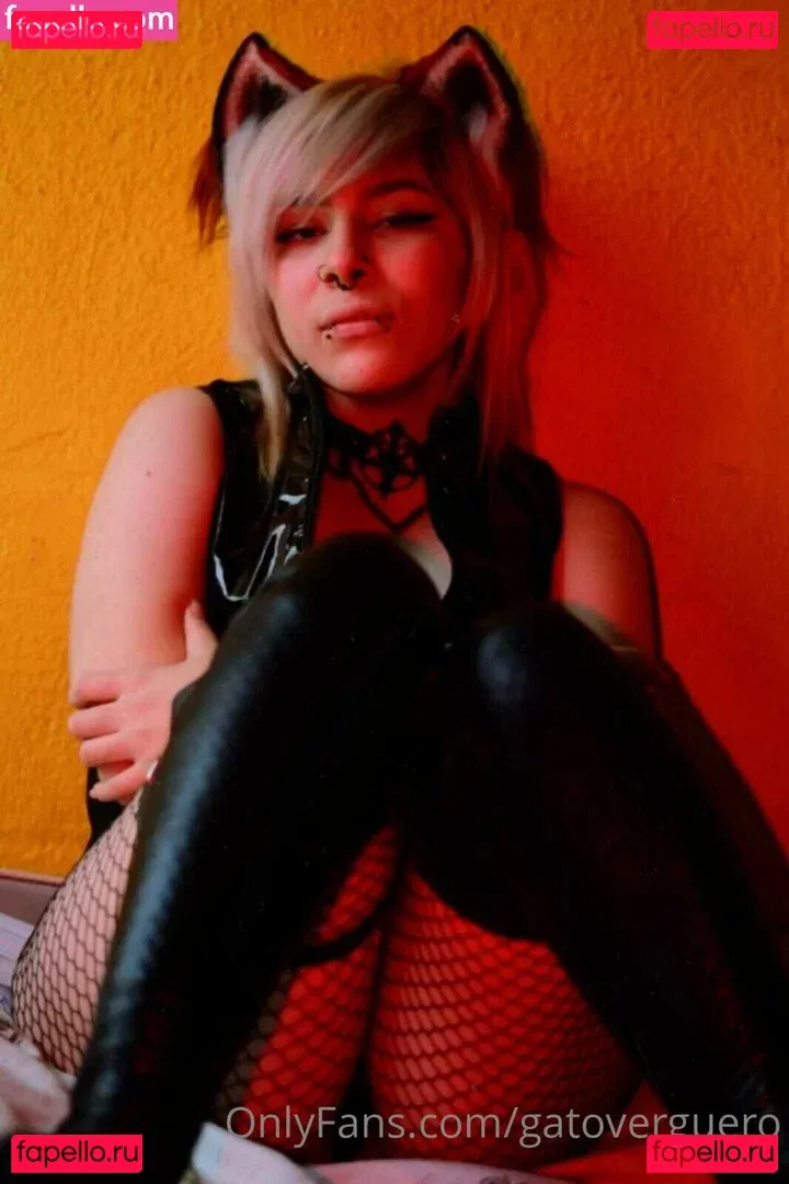 gatoverguero Onlyfans Photo Gallery 