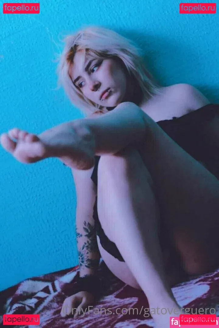 gatoverguero Onlyfans Photo Gallery 