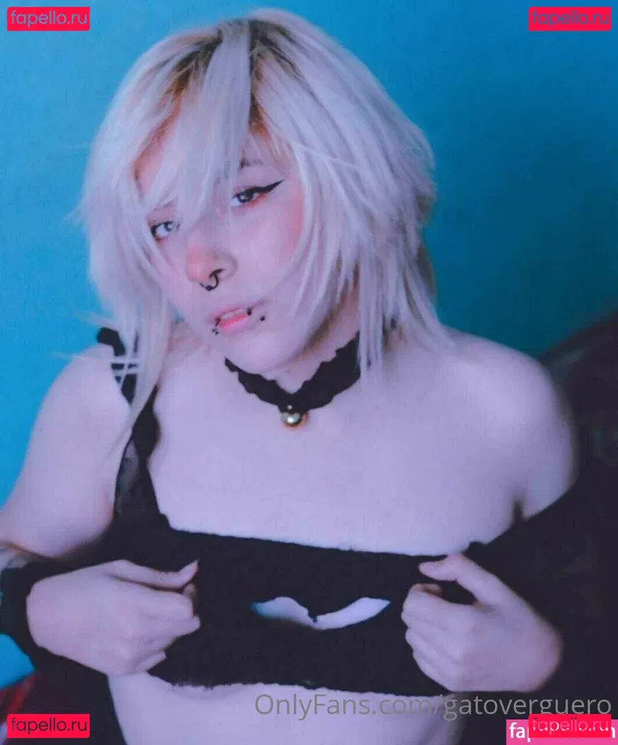 gatoverguero Onlyfans Photo Gallery 