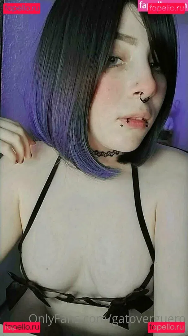 gatoverguero Onlyfans Photo Gallery 