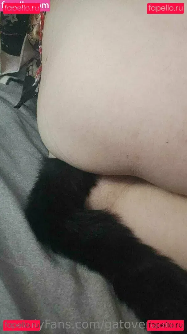 gatoverguero Onlyfans Photo Gallery 