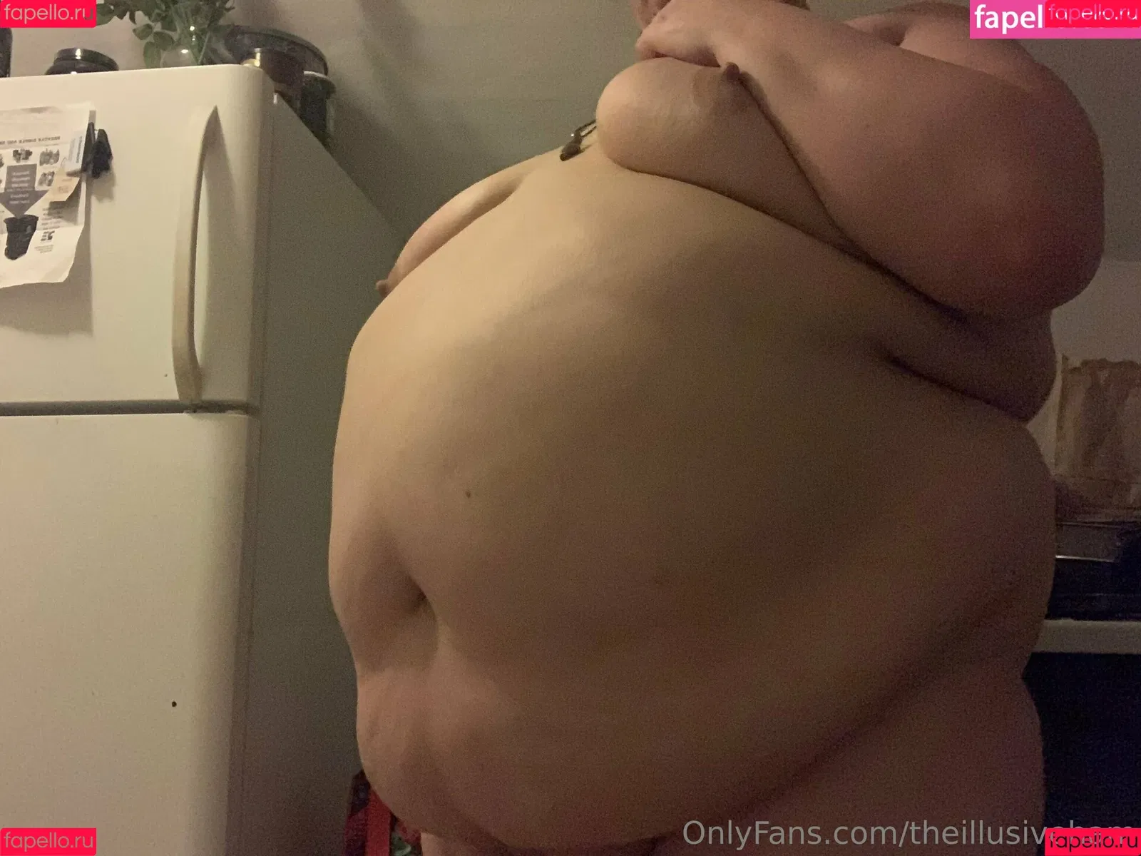 theillusiveham Onlyfans Photo Gallery 