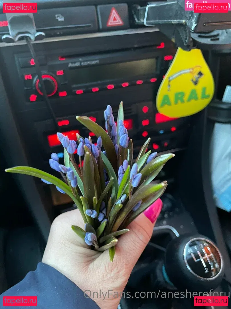 aneshereforu Onlyfans Photo Gallery 