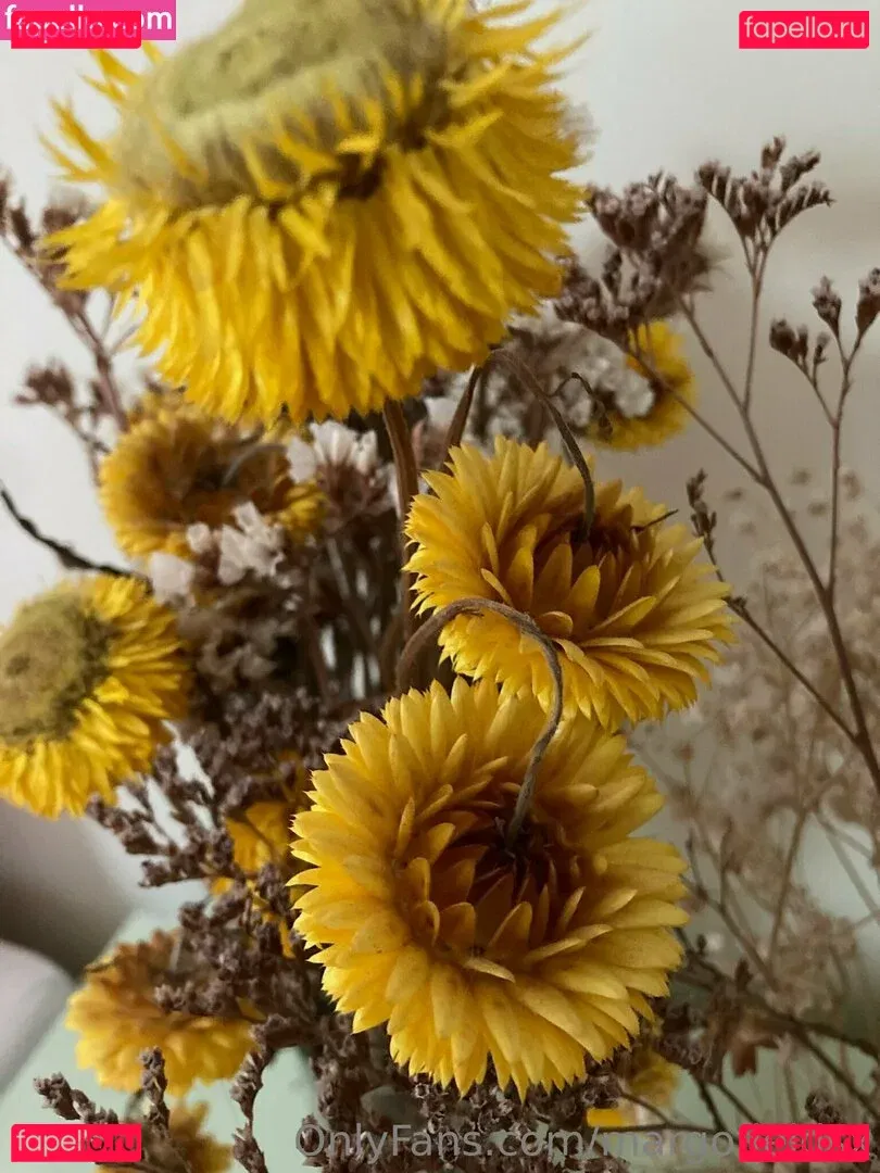 margofieldsx Onlyfans Photo Gallery 