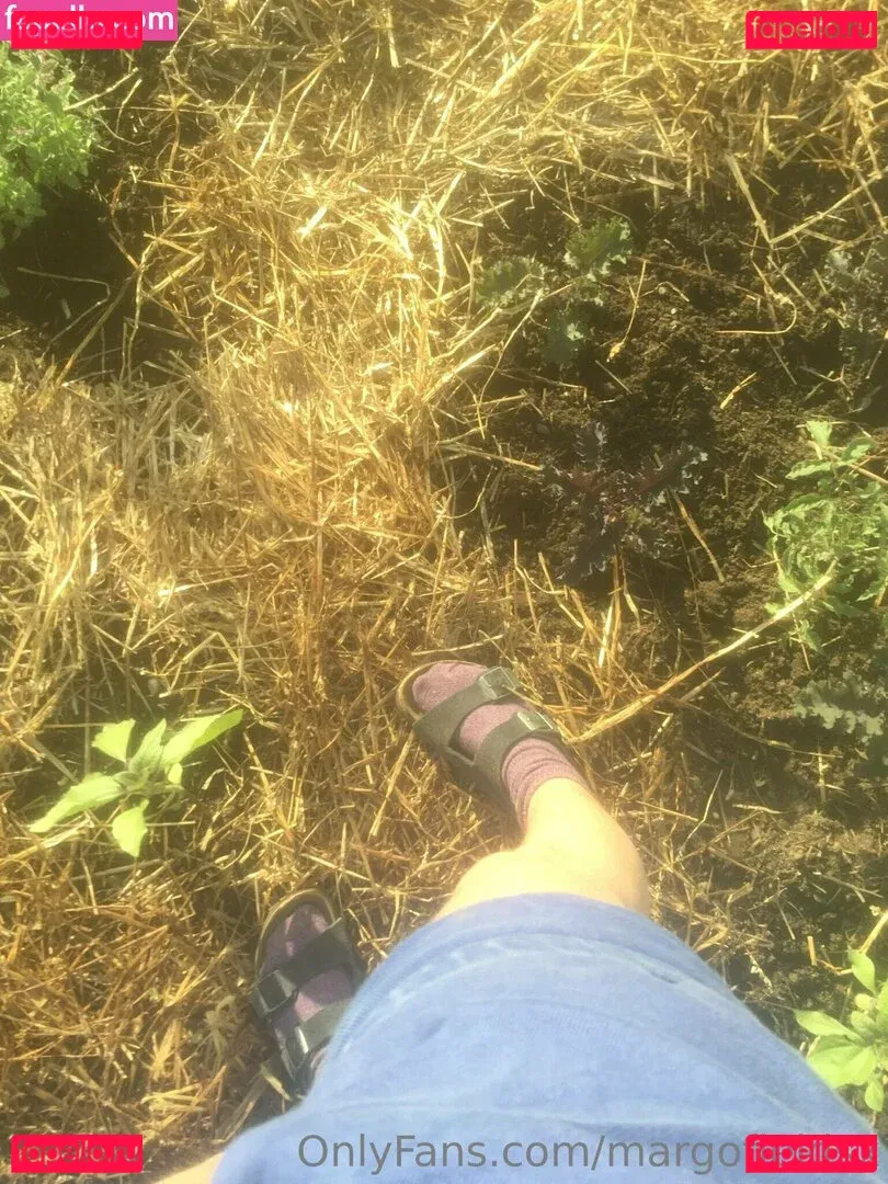 margofieldsx Onlyfans Photo Gallery 