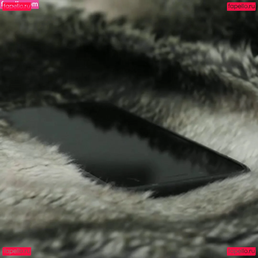 Victoria Lobov Onlyfans Photo Gallery 