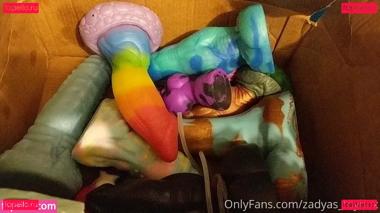 zadyas_toybox Onlyfans Photo Gallery 