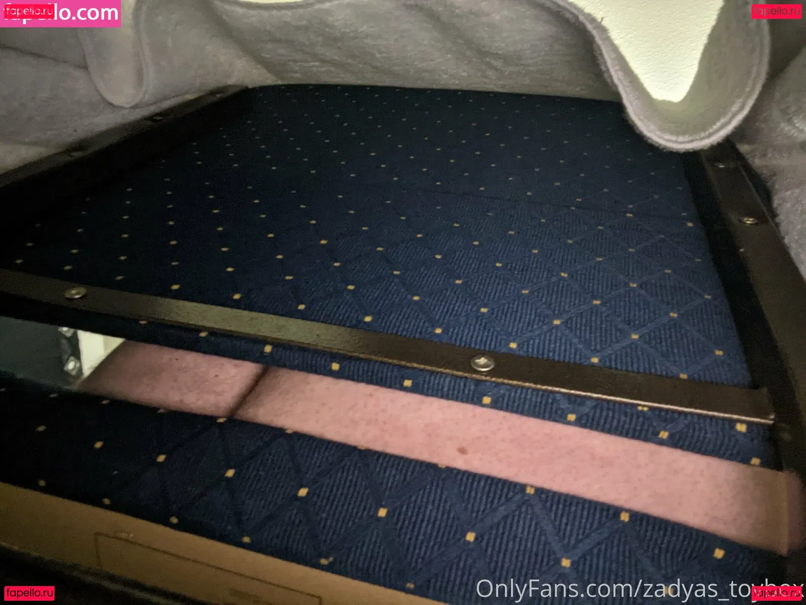 zadyas_toybox Onlyfans Photo Gallery 