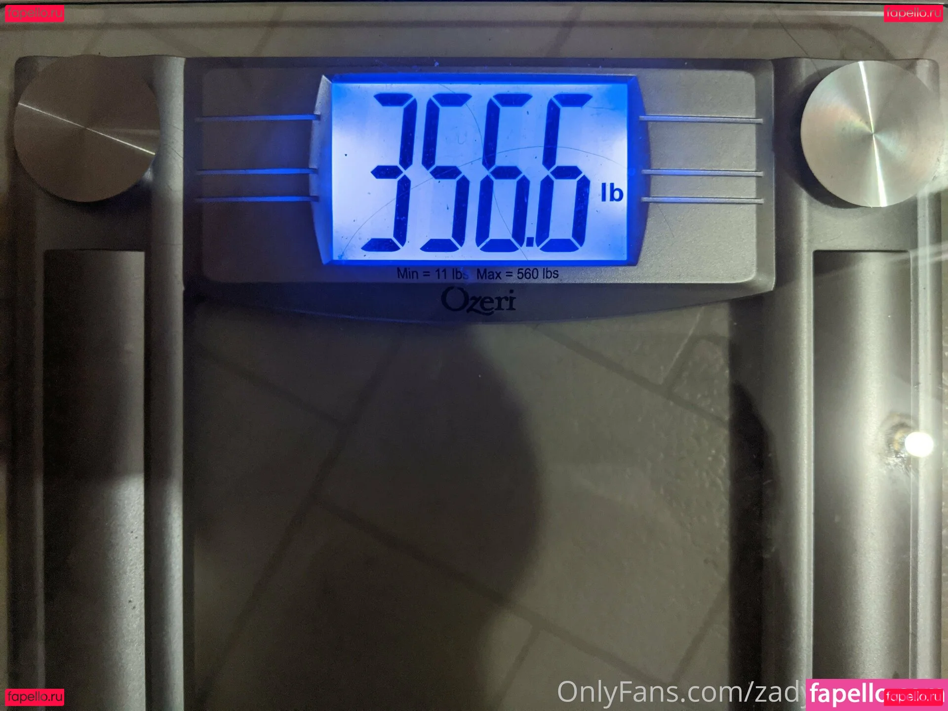 zadyas_toybox Onlyfans Photo Gallery 