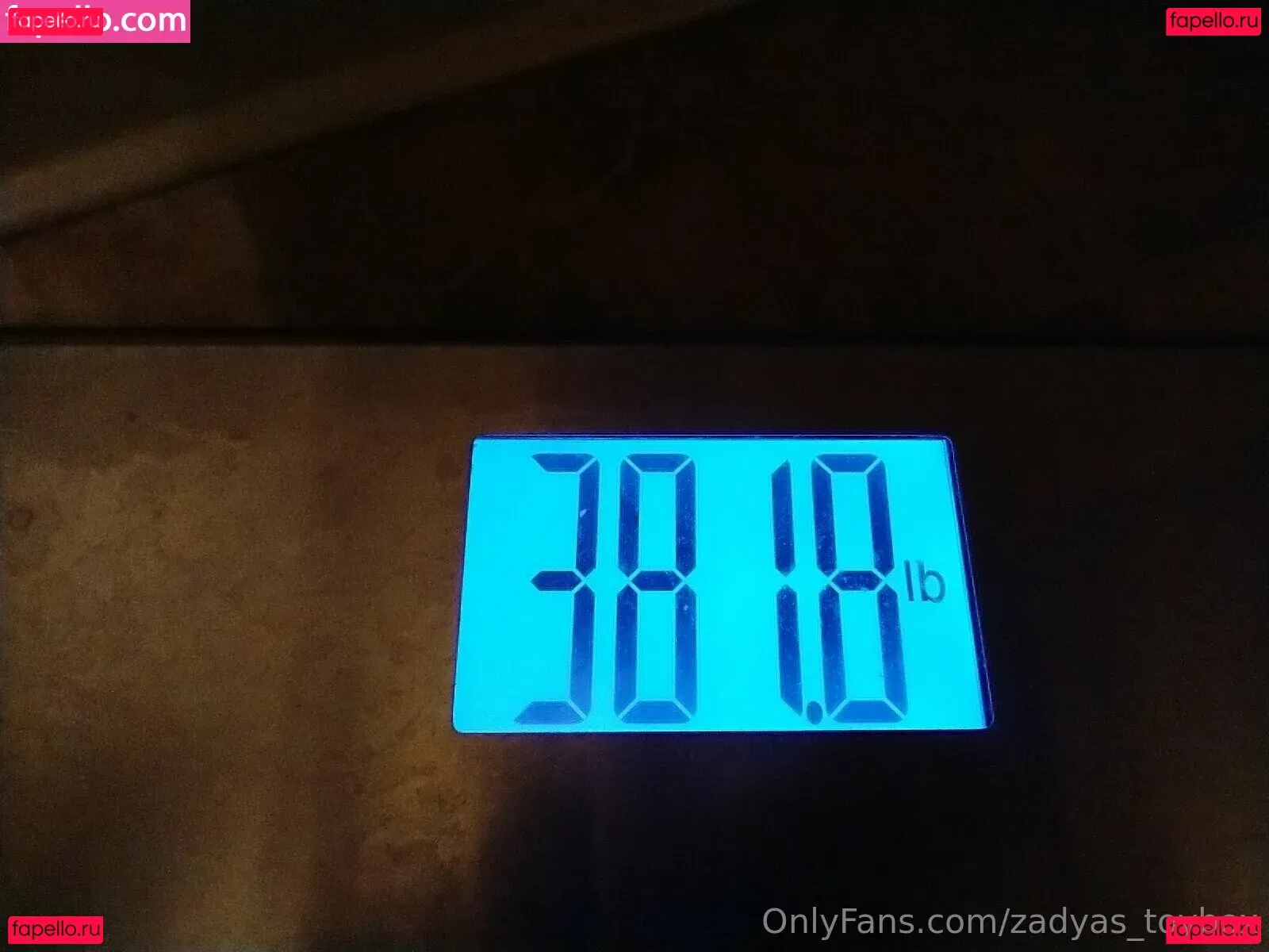 zadyas_toybox Onlyfans Photo Gallery 