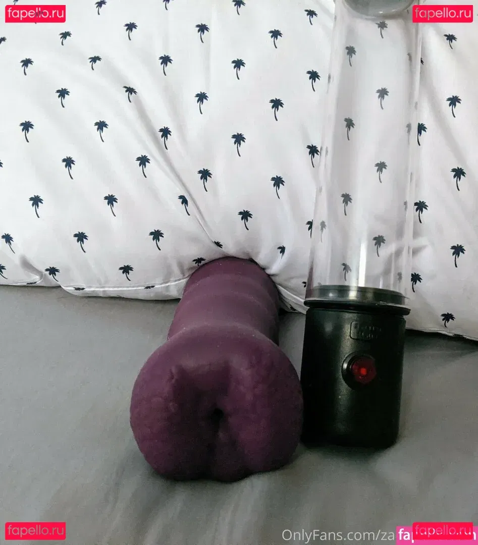 zadyas_toybox Onlyfans Photo Gallery 