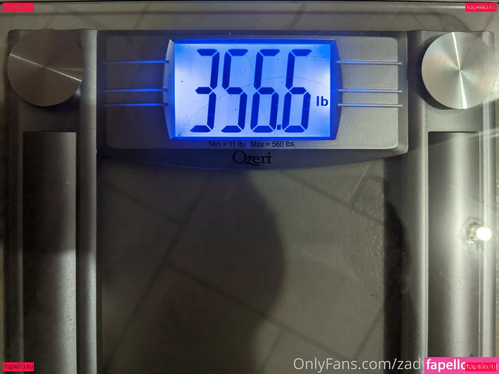 zadyas_toybox Onlyfans Photo Gallery 