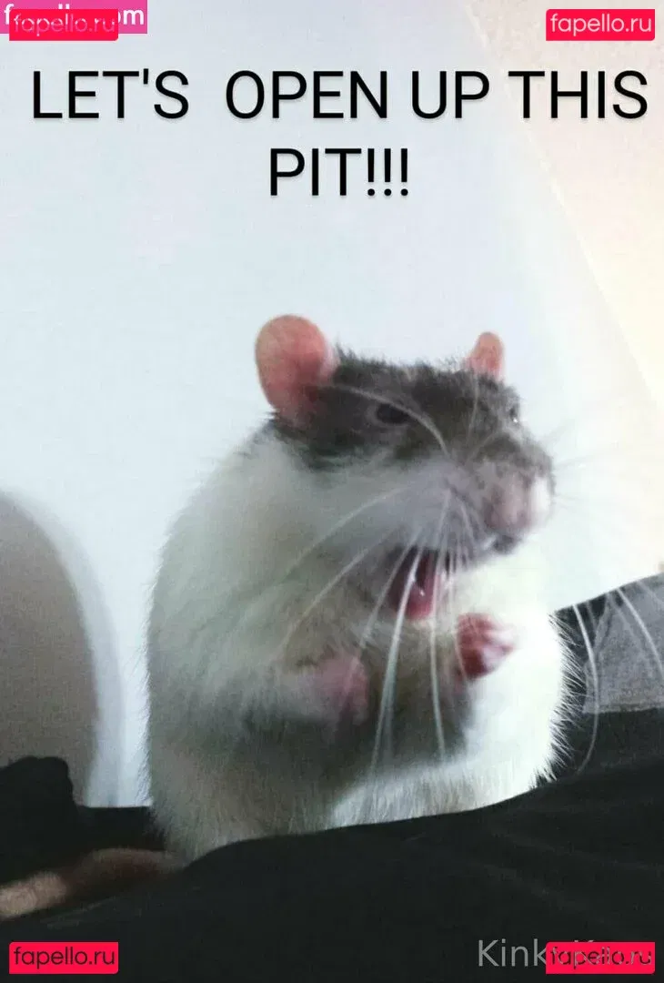 kinkykaoskings Onlyfans Photo Gallery 