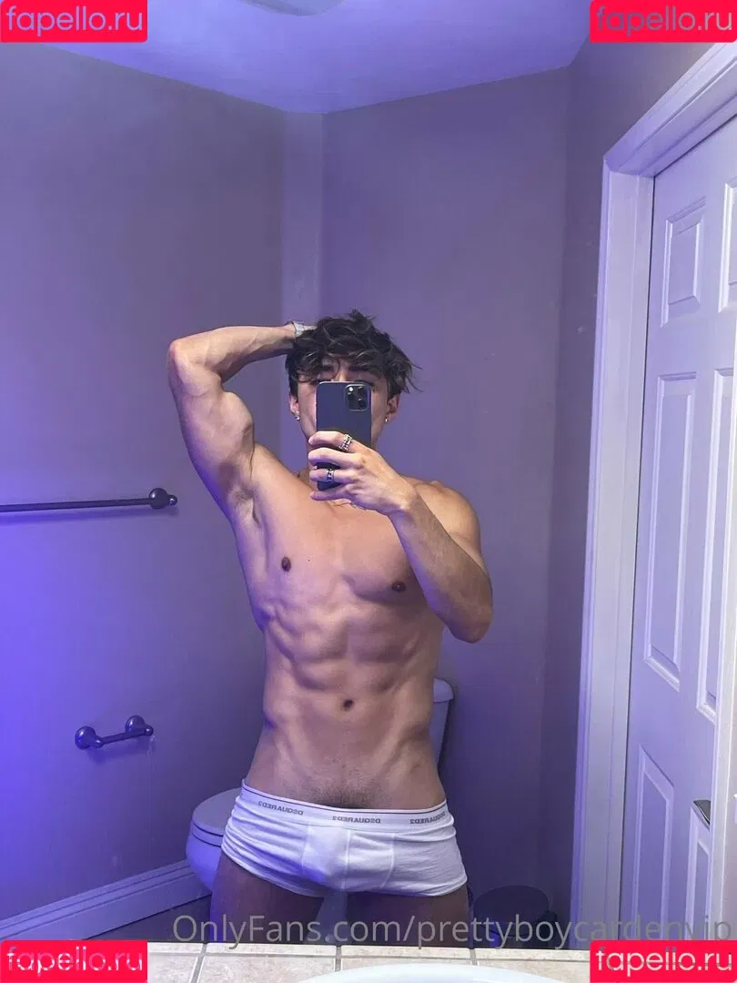 aedanvip Onlyfans Photo Gallery 