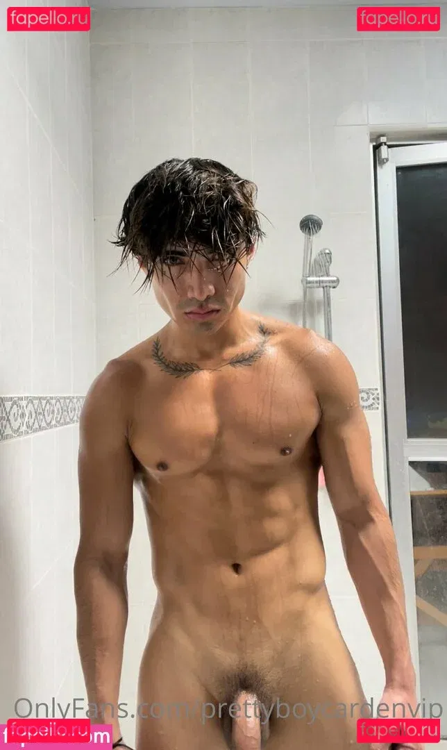 aedanvip Onlyfans Photo Gallery 