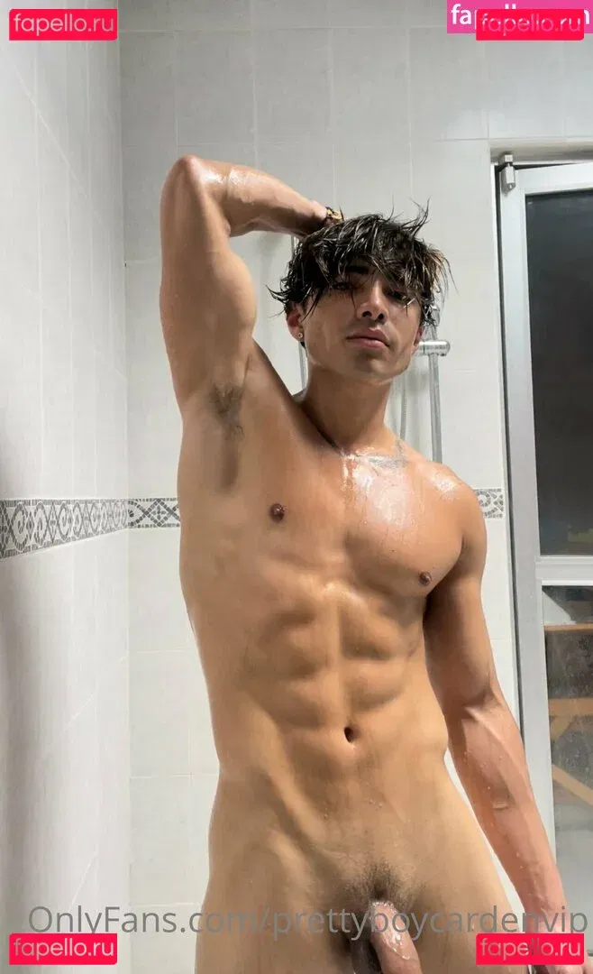 aedanvip Onlyfans Photo Gallery 