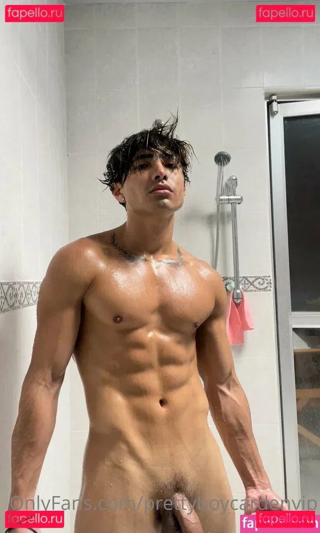 aedanvip Onlyfans Photo Gallery 