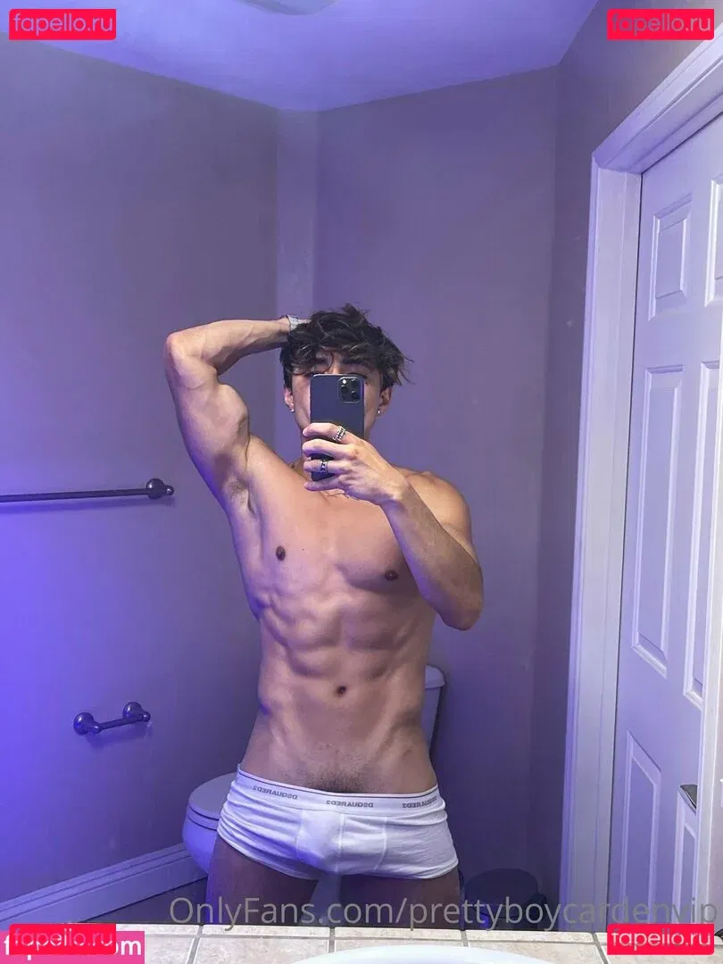 aedanvip Onlyfans Photo Gallery 